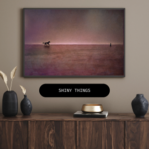 Shiny Things