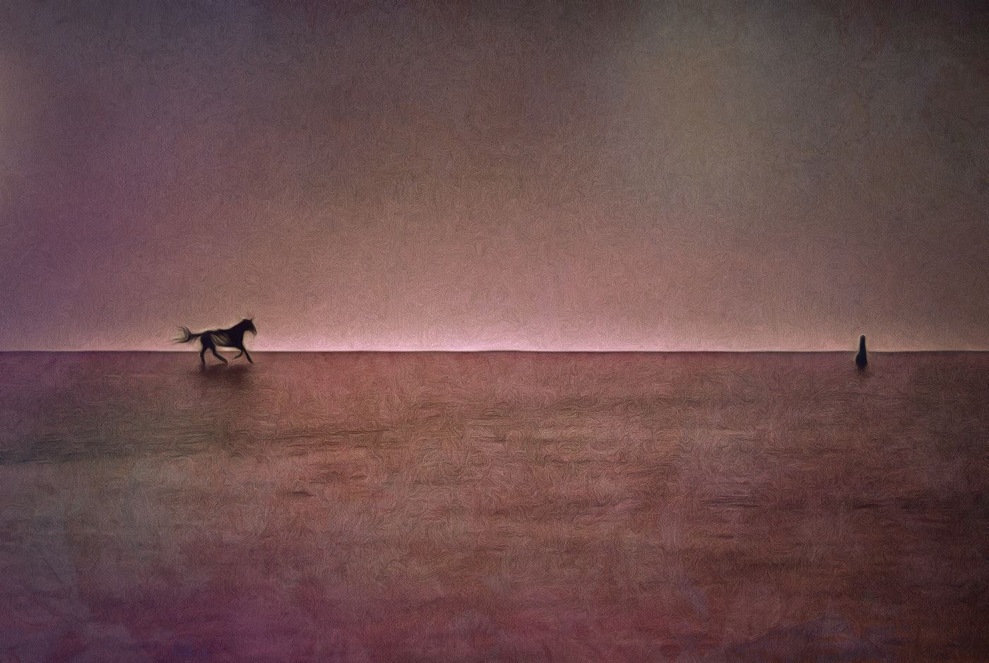 Minimal surreal art print showing a dark horse walking across a calm reflective surface beneath a muted pink and violet sky.